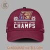 michigan panthers 2025 united football league champions tshirt hoodie cap 7.jpg