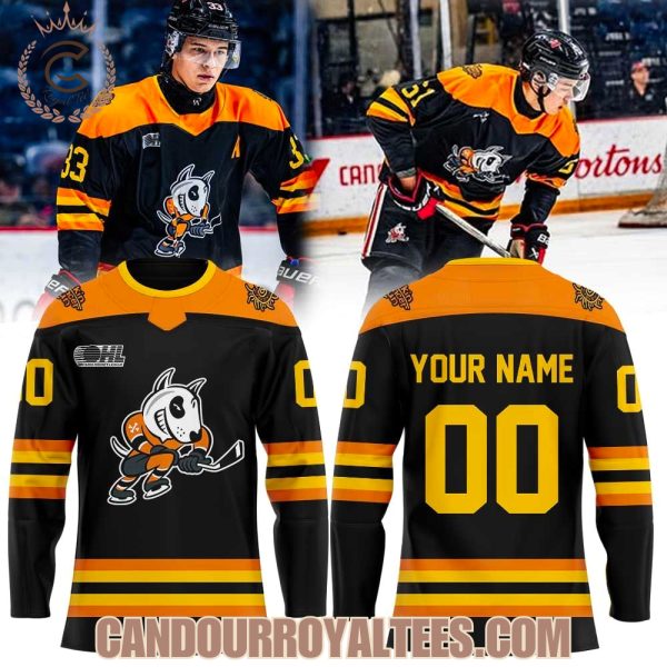 Niagara IceDogs Cancer Care Programs Uniform Hockey Jersey